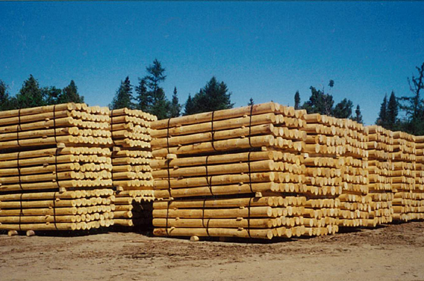 Feed Lanark County Dodds Erwin Links